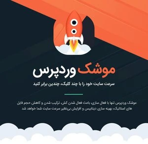 دانلود افزونه راکت 🚀 پلاگین افزایش سرعت WP ROCKET – اخرین اپدیت